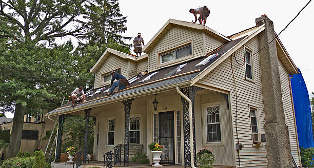 Best Roofing Contractor Near Me  in Stuart, IA