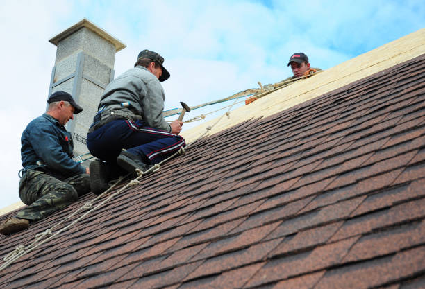 Roof Gutter Cleaning in Stuart, IA